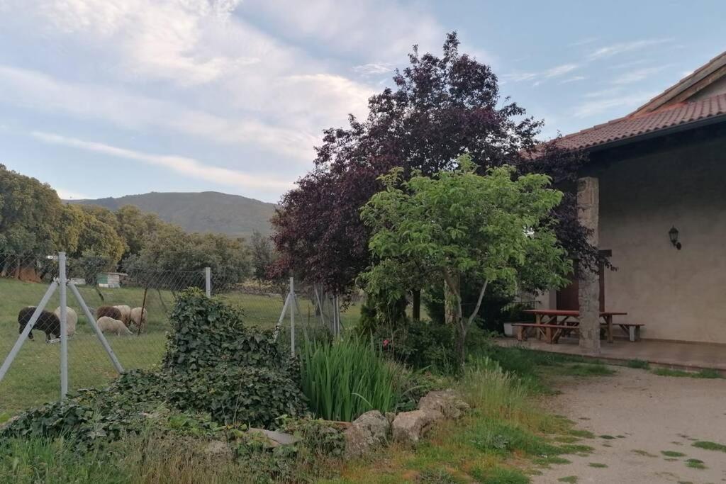 Casa Namaste - Ortigosa Del Monte Villa Bagian luar foto